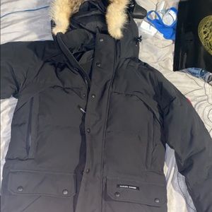 Small Canada goose worn lightly